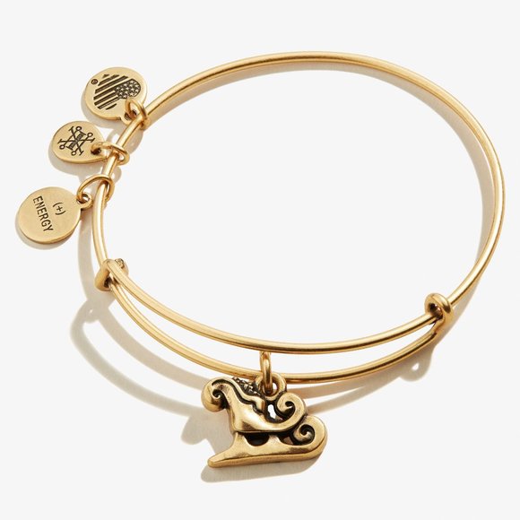 Alex and Ani Jewelry - NWT Alex and Ani Sleigh Charm Bangle